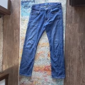Patagonia Men's Jeans
